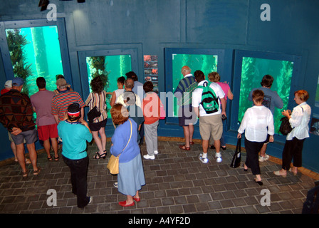 Australia WA Busselton esperienza subacquea vista dal basso con i turisti Foto Stock