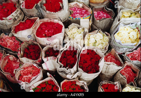 Mazzi di rose Foto Stock