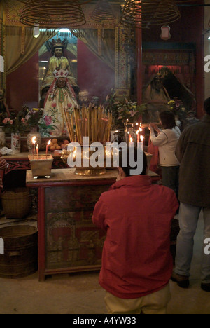 dh Man Mo Temple SHEUNG WAN HONG KONG l'uomo inginocchiato pregando di fronte all'urna del bastone di joss e gli idoli che adorano taoismo la gente kowtow cina kow Foto Stock