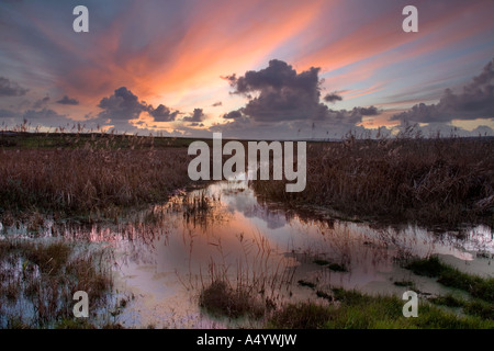 Tramonto a marazion marsh Cornovaglia Foto Stock
