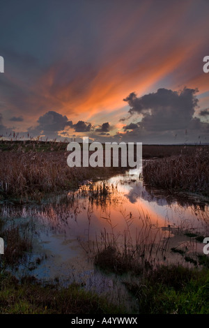 Tramonto a marazion marsh Cornovaglia Foto Stock