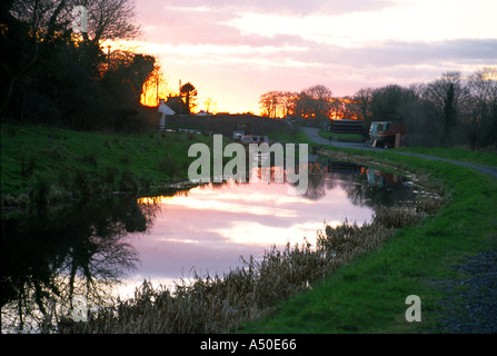 Canal Royal Bridge Kildare Irlanda Foto Stock