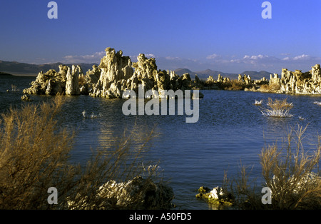 Emergenti di tufo colonne MONO LAGO LEE VINNING CALIFORNIA Foto Stock