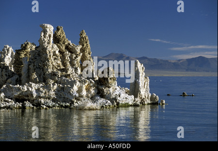 Emergenti di tufo colonne MONO LAGO LEE VINNING CALIFORNIA Foto Stock