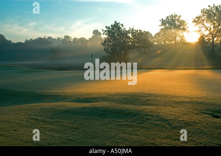 Sunrise su un campo da golf. Foto Stock