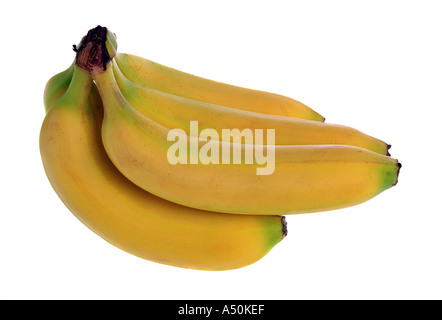 Grappolo di banane contro uno sfondo bianco Foto Stock