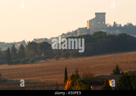 Una vista sui vigneti e il villaggio Chateauneuf du Pape, Vaucluse, Rhone, Provenza, Francia Foto Stock