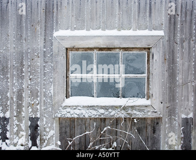 Frosty finestre di un edificio abbandonato, Finlandia Foto Stock