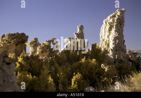 Colonne di tufo sulle rive del lago MONO LEE VINNING CALIFORNIA Foto Stock