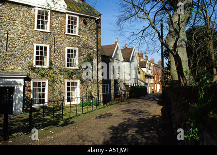 Vecchie case di Norwich Cathedral vicino Foto Stock