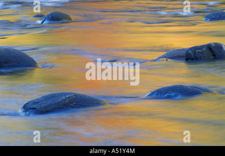 Giamaica VT colori autunnali si riflettono nel fiume ad ovest Giamaica parco dello stato Foto Stock