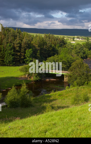 Inghilterra, County Durham, Fiume Tees. Il Fiume Tees e il North Pennines, a valle della forza elevata cade nella Contea di Durham. Foto Stock