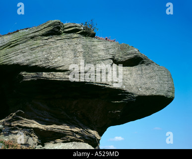 Il vento e il gelo rocce erose; "Roccia del coccodrillo' a Guisecliffe, nei pressi di ponte Pateley, Nidderdale, North Yorkshire, Inghilterra, Regno Unito. Foto Stock