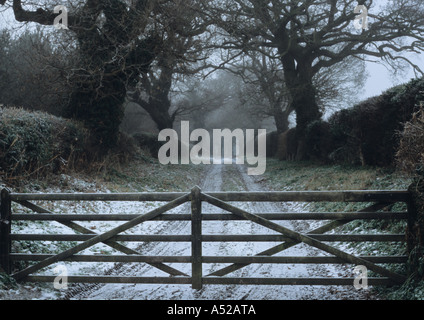 Azienda agricola Via a Benacre in inverno nel Regno Unito Foto Stock