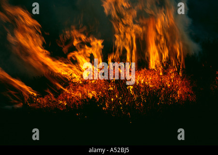 Il fumo e le fiammelle innalzantisi dalla combustione heather moorland Foto Stock