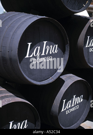 Jerez de la Frontera, Spagna Foto Stock