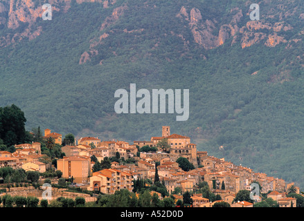 Le bar sur loup, Cote D'Azur, in Francia Foto Stock