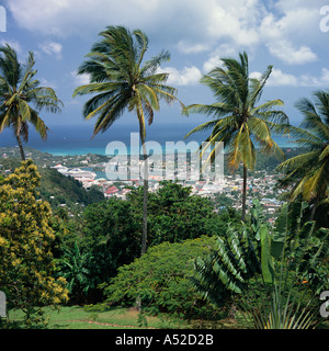 Affacciato su Castries e porto dall'alto colle top garden visto attraverso gli alberi di palme e vegetazione St Lucia Caraibi Foto Stock