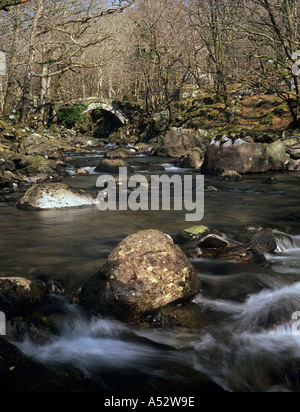 AFON ARTRO e antico ponte in pietra in legno in Snowdonia "Parco Nazionale" in inverno Cwm Bychan Gwynedd North Wales UK Foto Stock