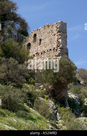 Olympos vicino a Kemer sud della Turchia Antalya città antica con scavo Akropolis Foto Stock
