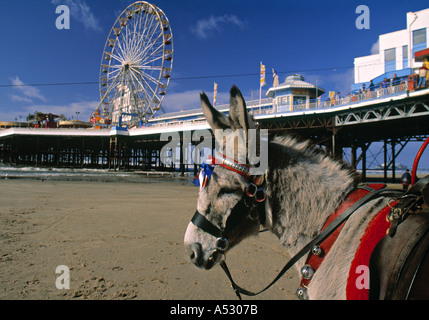 Central Pier, Blackpool, Lancashire, England Foto Stock