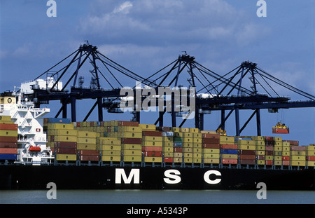 MSC contenitore di scarico navi al Trinity Quay, porto di Felixstowe, Suffolk, Regno Unito. Foto Stock