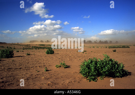 Effetti di erosione di suolo su terreno coltivato in Shottisham vicino a Woodbridge Suffolk, Regno Unito. Foto Stock