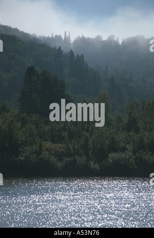 Il fiume Lebed tradotto come il fiume Swan nella foschia mattutina Altai Russia Foto Stock