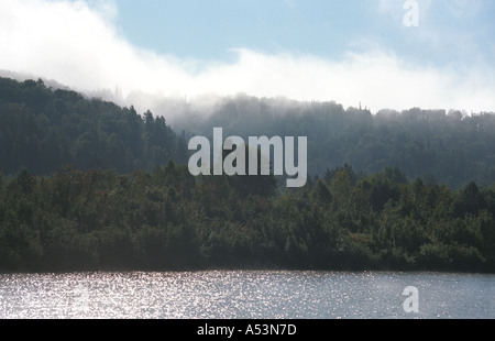 Il fiume Lebed tradotto come il fiume Swan nella foschia mattutina Altai Russia Foto Stock