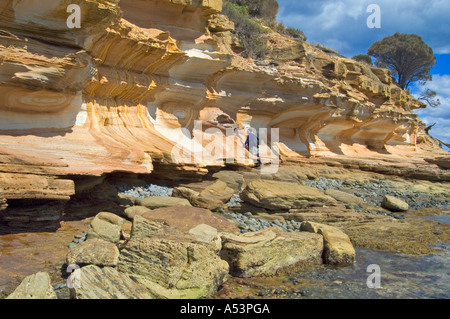 Dipinto di scogliere in maria island nationalpark tasmania australia Foto Stock