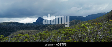 Il labirinto vicino a valle del pino su overland track in cradle mountain lake st clair nationalpark tasmania australia Foto Stock