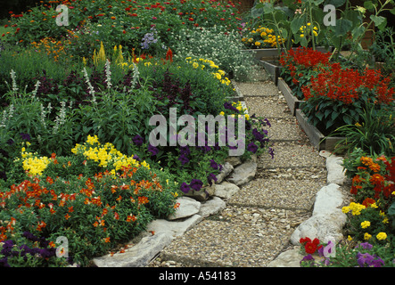 Percorso nel giardino annuali fiori selvatici Missouri negli Stati Uniti d'America USA Foto Stock