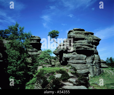 Stranamente ha eroso le formazioni rocciose di Brimham Rocks, nei pressi di ponte Pateley, North Yorkshire, Inghilterra, Regno Unito. Foto Stock