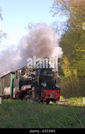 Isola Rügen Ruegen Meclenburgo-pomerania Germania ferrovia a scartamento ridotto Rasender Roland Racing Roland Foto Stock