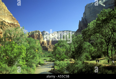 Fiume vergine Zion Canyon Zion National Park nello Utah Foto Stock
