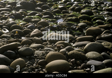 Ciotoli arrotondati MACHRIE BAY ISLE OF ARRAN Scozia Scotland Foto Stock