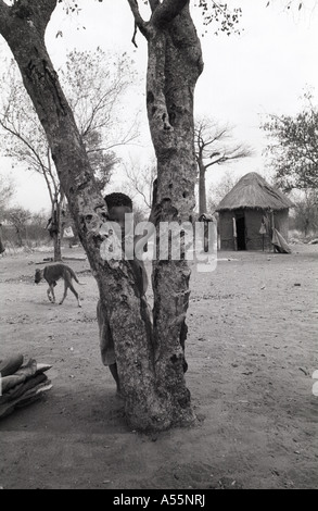 Il San persone (o Saan), noto anche come i Boscimani o Basarwa village vita tradizionale di bambino ragazzo dietro tree Foto Stock