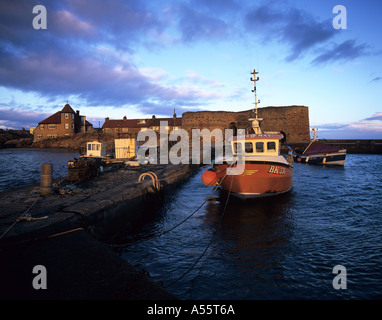 Beadnell Porto sulla costa del Northumberland, Inghilterra, al tramonto Foto Stock