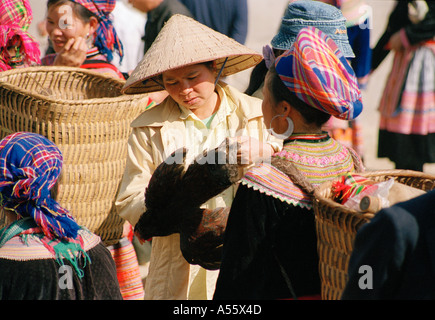 Donne acquisto e vendita di polli al mercato in BacHa Vietnam del Nord Foto Stock