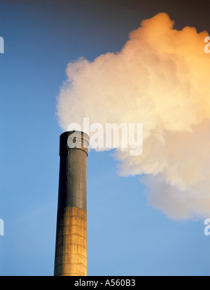 Fumo billowing da un inceneritore camino; Inceneritore di Tynemouth, North Shields, Tyne & Wear, Inghilterra, Regno Unito. Foto Stock