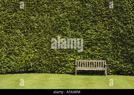 Panca in legno e alte Hedge a Levens Hall Giardino Topiaria da Lake District REGNO UNITO Inghilterra Foto Stock