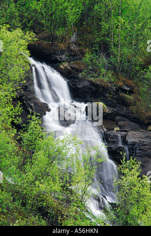 Wasserfall bei Narvik Nordland Norwegen cascata vicino a Narvik nel Nordland, Norvegia, Europa Foto Stock