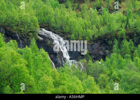 Wasserfall bei Narvik Nordland Norwegen cascata vicino a Narvik nel Nordland, Norvegia, Europa Foto Stock