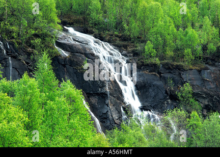 Wasserfall bei Narvik Nordland Norwegen cascata vicino a Narvik nel Nordland, Norvegia, Europa Foto Stock