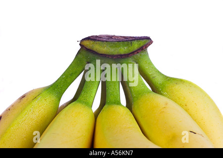 Grappolo di banane, Studio shot, isolato Foto Stock