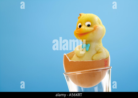 Il marzapane pulcino nel guscio d'uovo, close-up Foto Stock