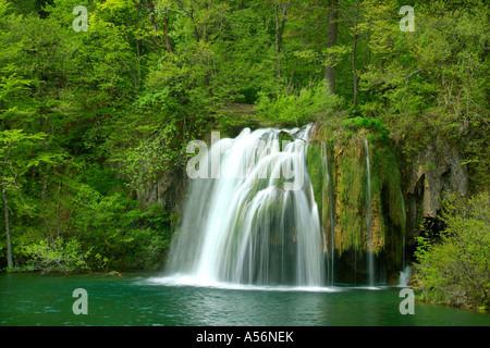 Plitvicer visto Kroatien cascata presso i laghi superiori il Parco Nazionale dei Laghi di Plitvice in Croazia Foto Stock