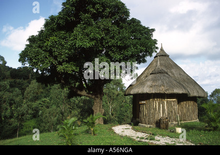 Domaine du Chasseur Mauritius Foto stock Alamy