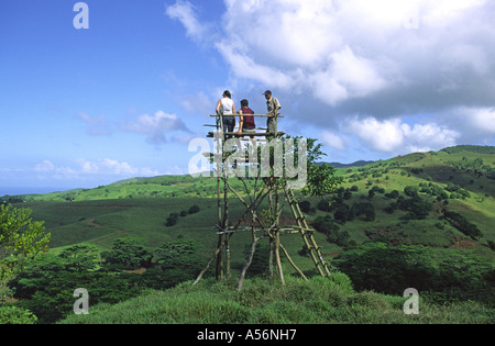 Valriche - Bel Ombre riserva naturale, Mauritius Foto Stock