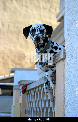 Mallorca Ballearen Spagna Foto Stock